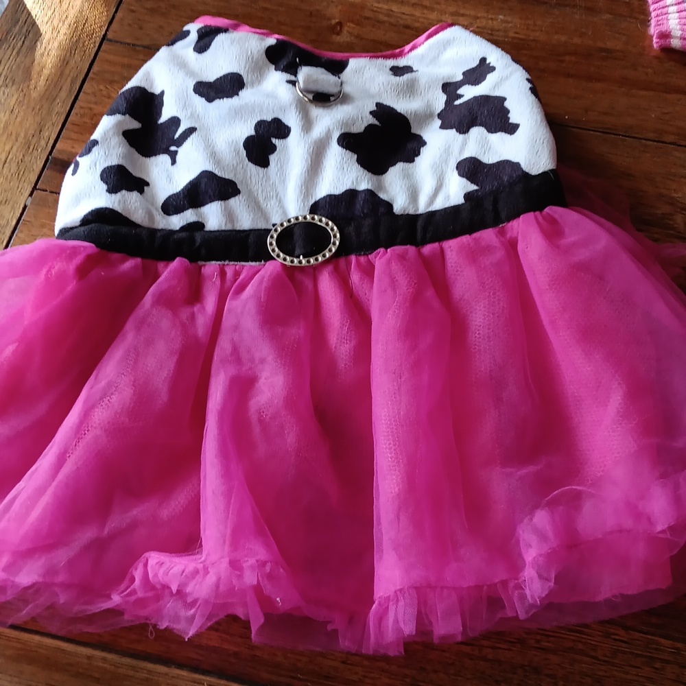 Maggie waggie dog dress